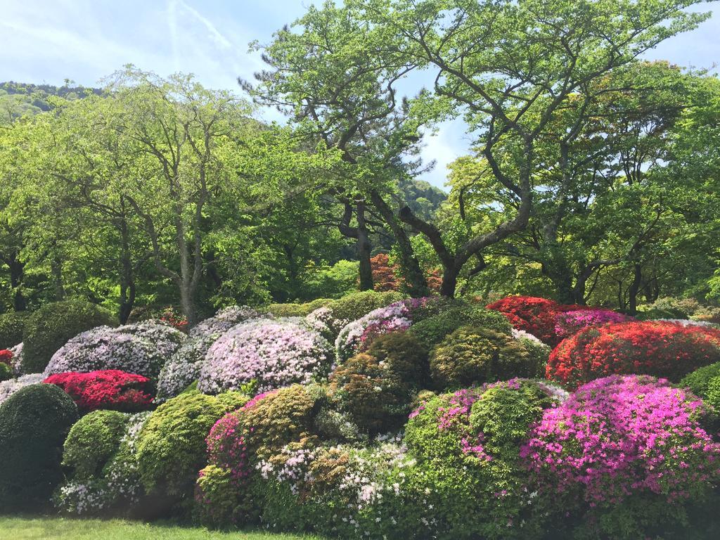 Hakone Kowakien Miyamafurin Hotel Екстериор снимка