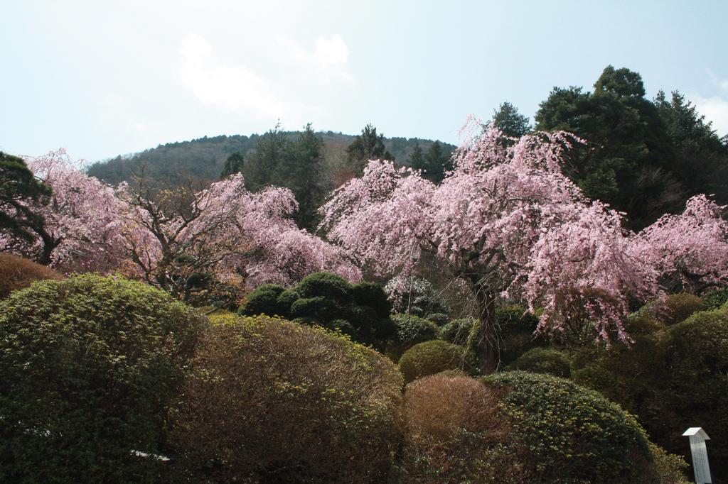 Hakone Kowakien Miyamafurin Hotel Екстериор снимка
