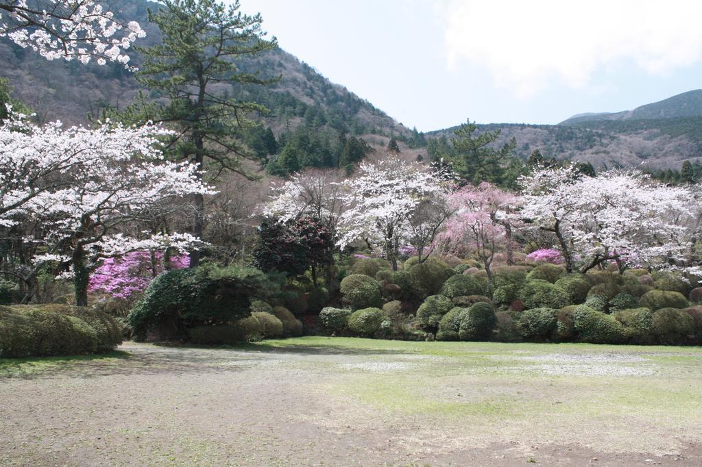 Hakone Kowakien Miyamafurin Hotel Екстериор снимка